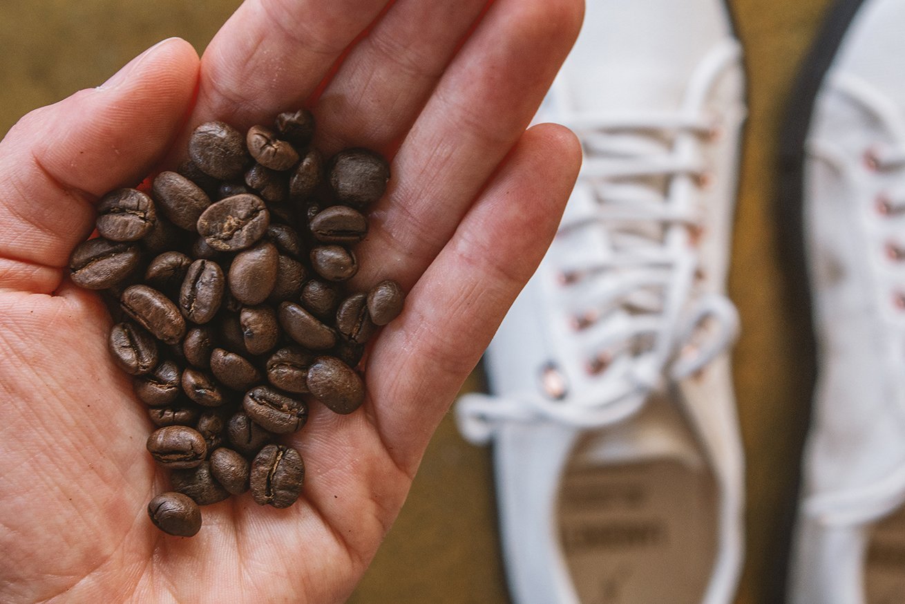 abfall mit potential - LANGBRETT