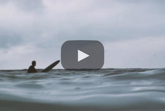 am ende sind wir nur gäste - LANGBRETT