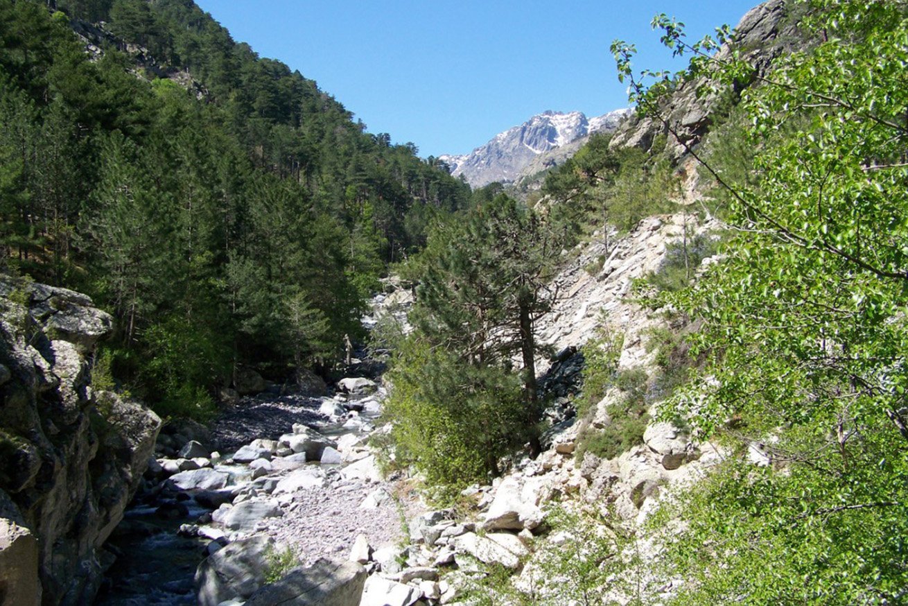 ascotal, korsika - LANGBRETT