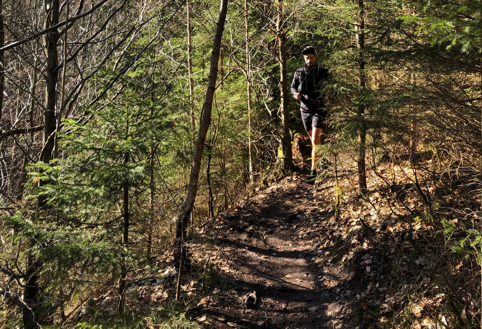 düsseldorfer waldlauf - LANGBRETT