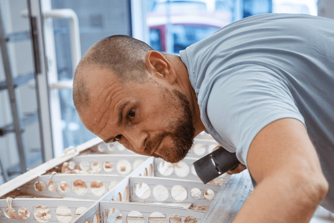 komm in den klub - mateusz - LANGBRETT