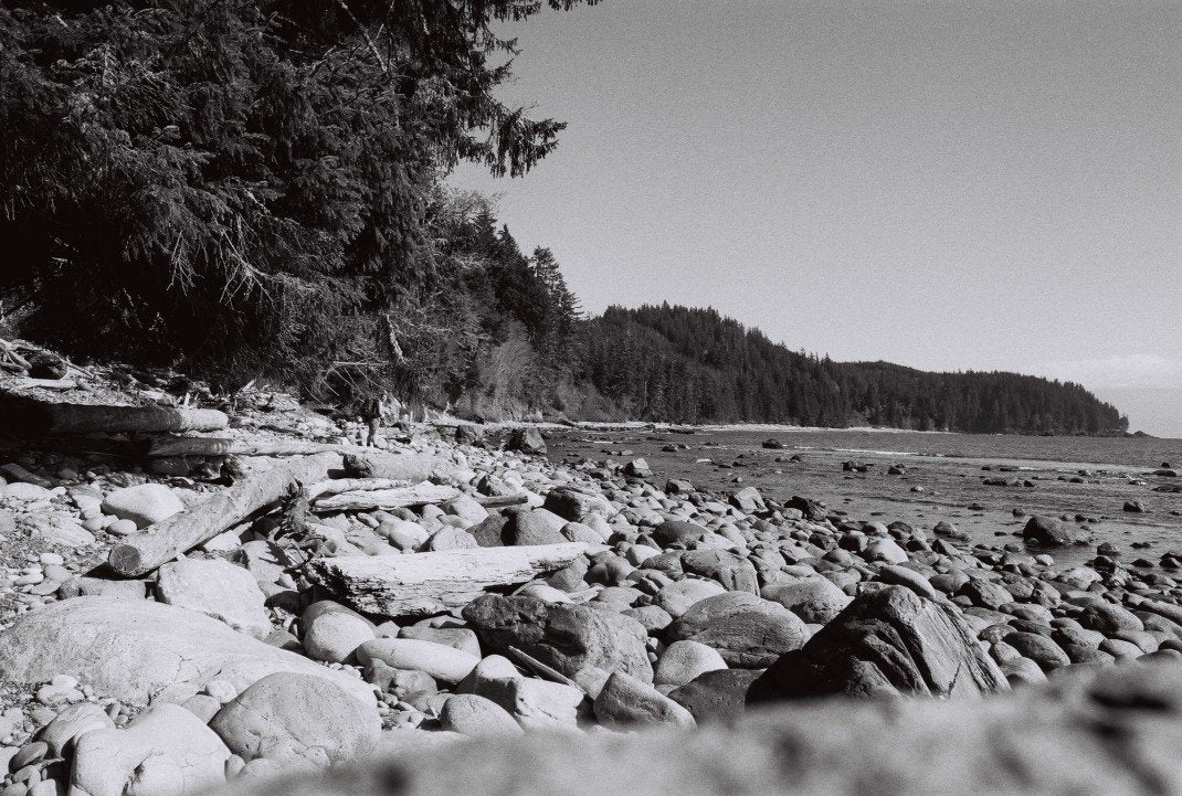 nature is an incredible thing - LANGBRETT