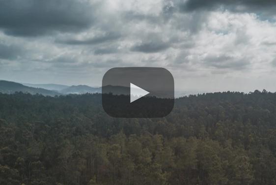 produkte ohne kompromisse - LANGBRETT