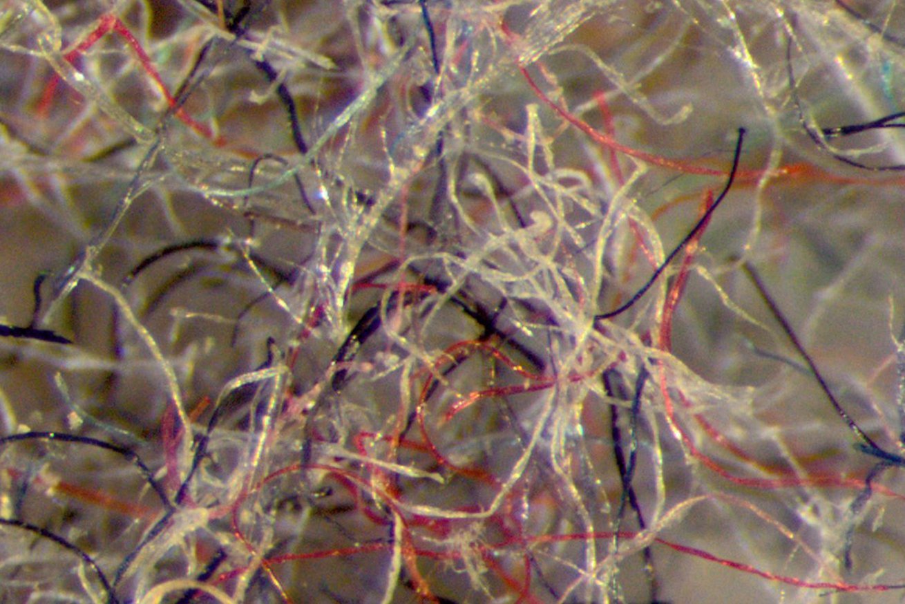 textil x mikroplastik - LANGBRETT