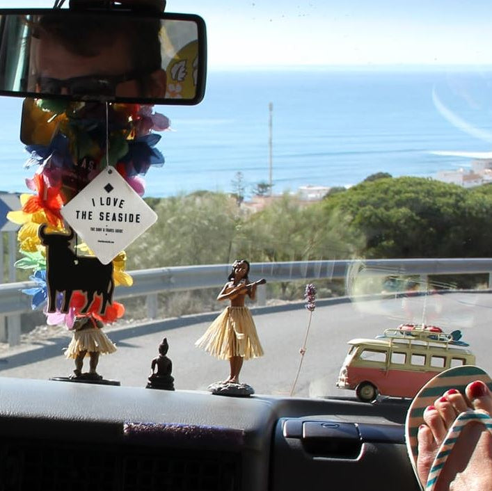 i love the seaside surf & travel guide to chile - LANGBRETT