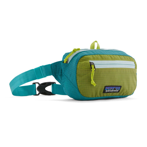 patagonia ultralight black hole mini hip pack - LANGBRETT