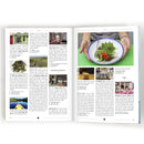 i love the seaside surf & travel guide to great britain & ireland - LANGBRETT